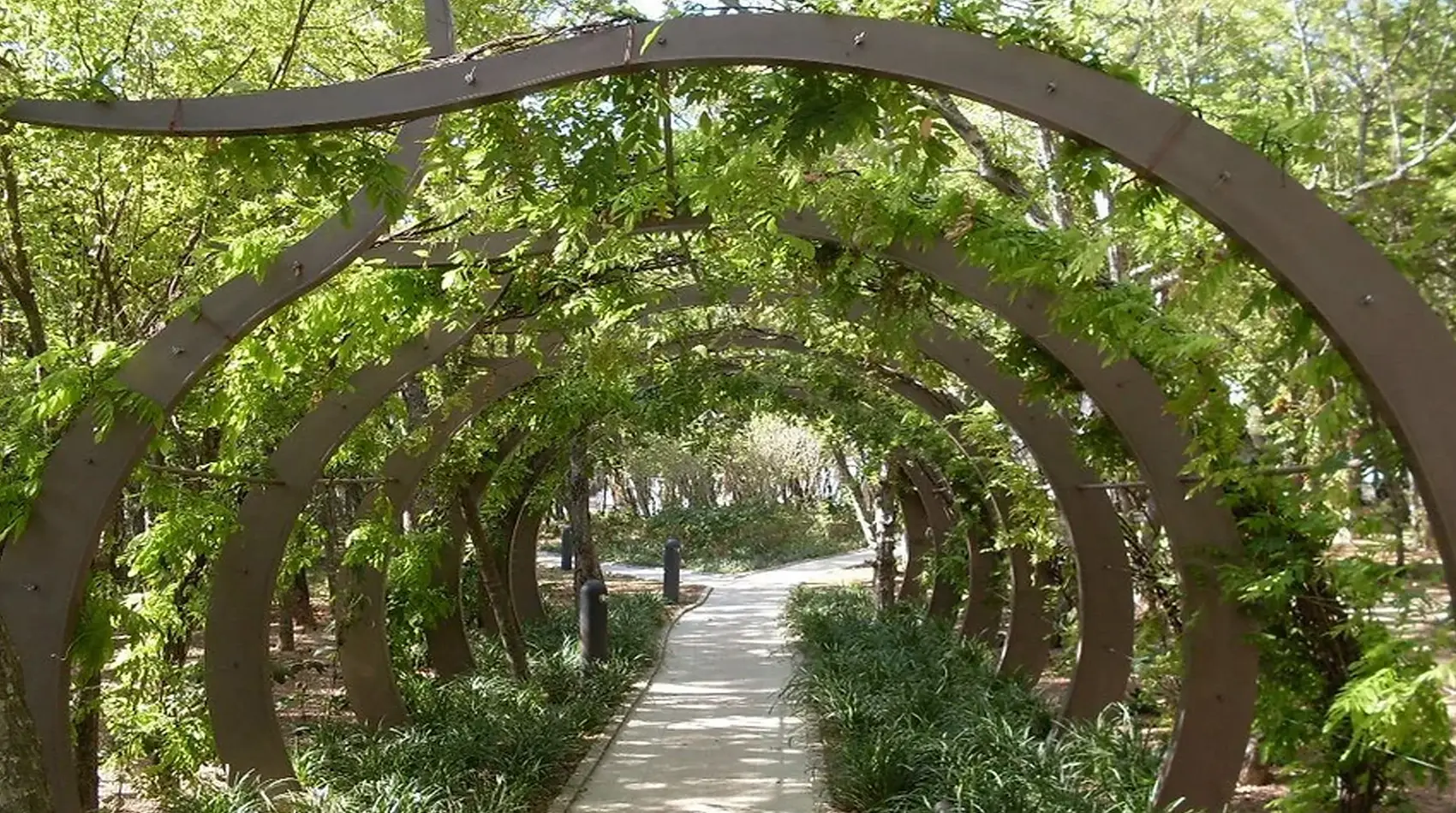 D – tunnel for climbing plants Bucharest