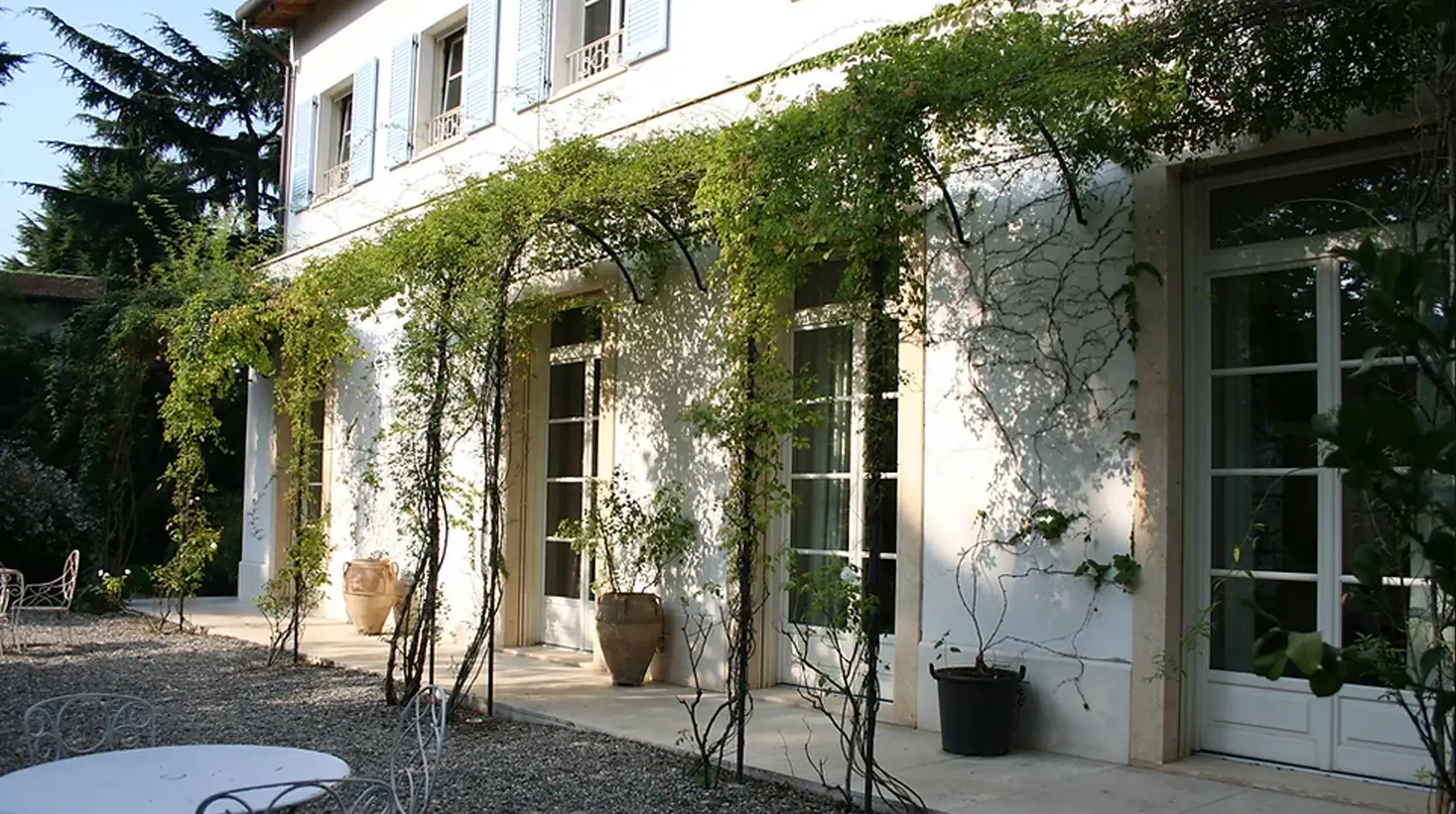 D – tunnel for climbing plants Bucharest