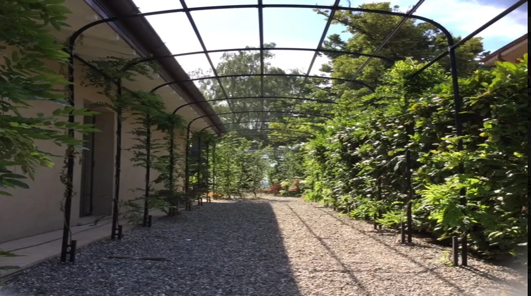 D – tunnel for climbing plants Bucharest